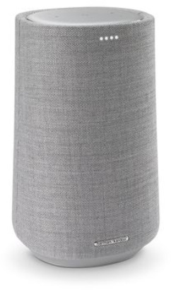 HARMAN KARDON Citation 100 MKII Lautsprecher, Grau
