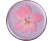 POPSOCKETS 801238 Pressed Flower Delphinium Pink - Poignée et support de téléphone portable (Rose)