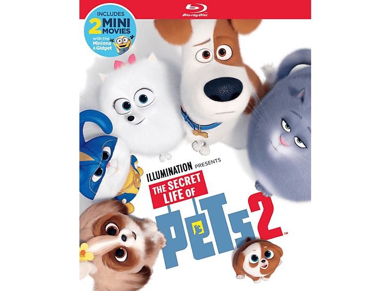Secret Life Of Pets 2 Blu-ray