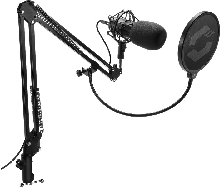 Schwarzes Mikrofon auf einem Ständer mit Pop-Filter. Der Ständer ist gelenkig.