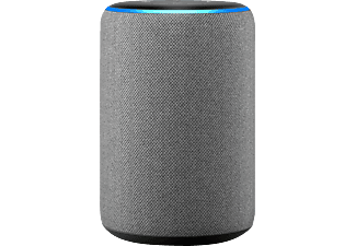 Amazon Echo grau