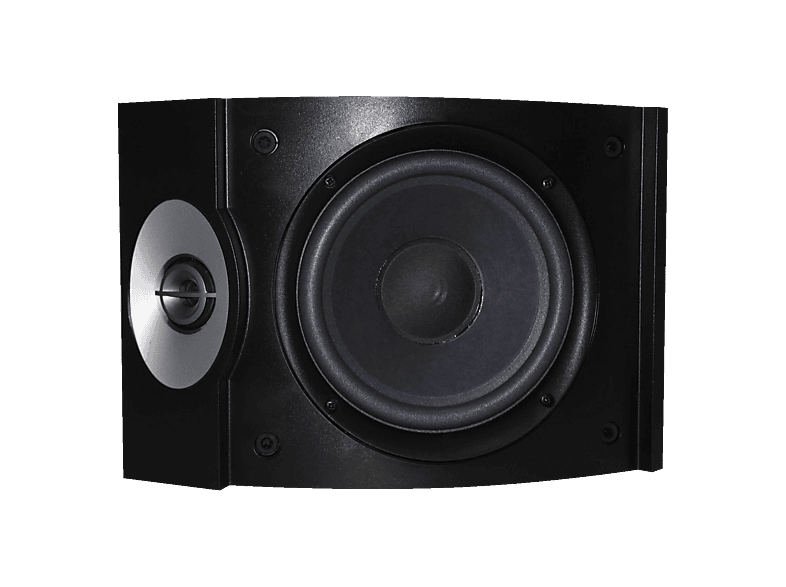 BOSE 301 V 1 Paar Regallautsprecher (Passiv, Schwarz | MediaMarkt