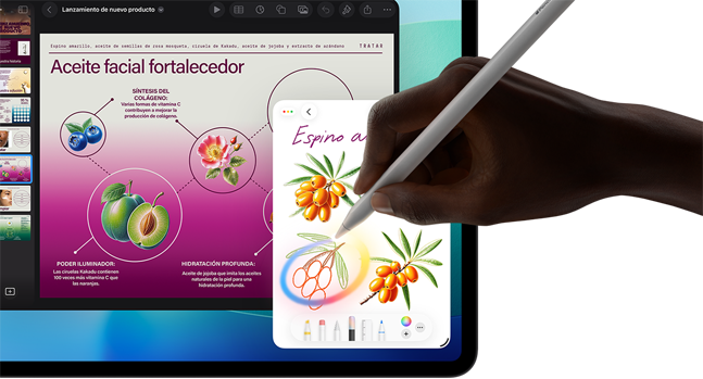 APPLE iPad Pro 11, 256 GB, Negro, 11 